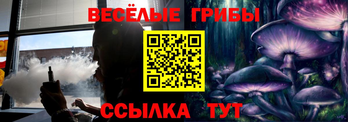 Галлюциногенные грибы MAGIC MUSHROOMS  Псилоцибиновые грибы Psilocybine cubensis  Вход с VPN  Щёлково 
